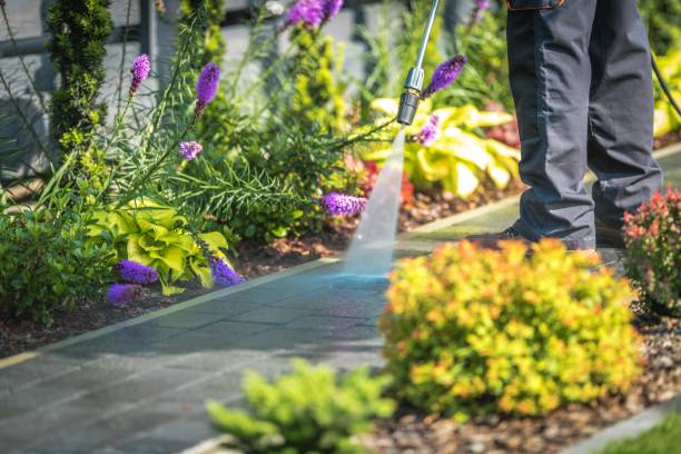 Best Fence Cleaning  in Wabasso Beach, FL