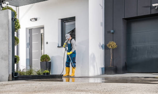 Best Solar Panel Cleaning  in Wabasso Beach, FL